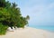 White beach chairs on sand beach of tropical island under coconut and palm trees. Sand is white. Sky is blue.