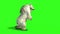 White bear attacks side green screen 3D Rendering Animation