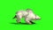White bear run cycle side green screen 3D rendering animation