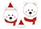 White Bear Santa Claus with Red Scarf Polka Dot. Vector Illustration