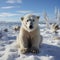 A White Bear Shrinking on an Ice Floe