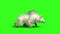 White bear walk cycle side green screen 3D rendering animation