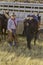 White Bearded Cowboy by his Horse