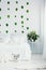 White bedroom interior with king size bed, urban jungle and green leaf on the wall