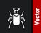 White Beetle bug icon isolated on black background. Vector