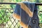 A white beige and blue Turkish peshtemal / towel on a wrought iron railings with blurry nature in the background.