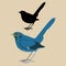 White-bellied Redstar bird vector illustration flat style black