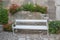 White bench in front of stone wall, red blooming nicotiana sanderae