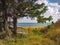 A white bench invites you to rest on the bank of the Nissum Brending near Agger Havn in Denmark