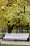 White bench in park, streetlamp