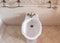 white bidet with a bronze faucet
