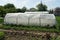 White big cellophane greenhouse stands in green vegetation