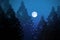 White big full moon over pine forest at night