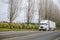 White big rig semi truck with refrigerated semi trailer transporting cargo driving on the road with trees and bushes