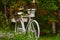 White bike in the garden among flowers. Orange leaves of early autumn. Landscaping.