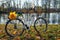 White bike with yellow leaves on the trunk. Indian summer. Saint Petersburg