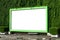 White billboard on spring summer green leaves background