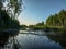 White birch trunk fell over the river, beautiful reflections, water weeds