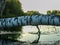 White birch trunk fell over the river, beautiful reflections, water weeds