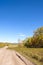 White Birch and unsurfaced road