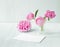 White bird cage twith petals on wooden table. Three peonies flowers in glass vase. Empty invitation card for marriage