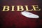 White bird feather on red bible book cover