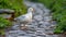 A white bird standing on a stone path with grass and rocks, AI