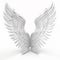 White bird wings with feathers, angel wings isolated on white close-up, for tattoo,