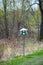 White Birdhouse in Woods