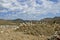 White birds congregate in a landfill