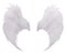 White birds wing feather,plumage isolated white background use f