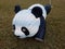White and black panda bear on grass or lawn