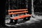 White and black red bench in wood scenery