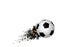 White and black soccer football with geometric abstract sport design element on the white background.