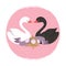 White and black swans. Character swans in love banner