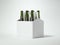 White blank beer packaging with green bottles. 3d rendering