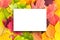 White blank piece of paper on a background of multicolored yellow, red, orange, green autumn leaves. Copy of space, mock up