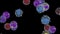 White blood cells flow, Basophils, Eosinophils, Lymphocyte, Monocyte, Neutrophils, Alpha Channel