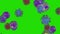 White blood cells flow, Basophils, Eosinophils, Lymphocyte, Monocyte, Neutrophils, Green Screen Chromakey