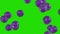 White blood cells flow, Eosinophils, Green Screen Chromakey