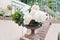 White blooming hydrangea in a marble flowerpot adorns the railing of the stairs in a country house, selective focus