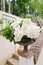 White blooming hydrangea in a marble flowerpot adorns the railing of the stairs in a country house, selective focus