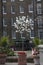 White blooming magnolia against the backdrop of a brick wall of a residential building