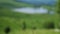 White blooming wild flowers on beautiful sunny summer mountains landscape. slow motion