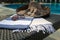 A white, blue and beige Turkish towel, sunglasses and straw hat on rattan lounger with blue swimming pool as background.