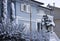 White and blue house and snowy plants