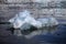 White and blue ice, small icebergs floating in Svalbard