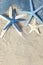 White and blue sea stars on sand
