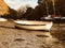 White boat aground in Pill Creek.