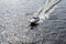 White boat coastal rescue rushes on the waves of the Baltic sea, beautiful glare on the water and water stains from the